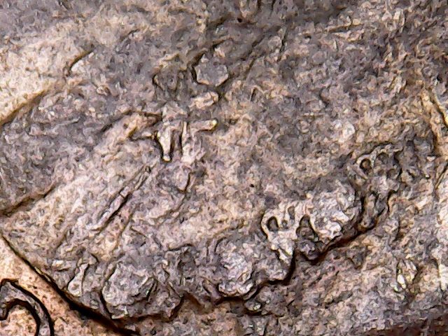Using-TPGs-For-Grading-Aussie-Coin-In-The-USA